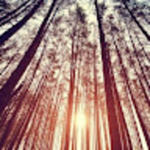 Meet your Posher, Lora